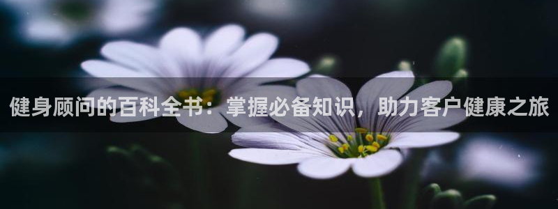 qy千亿体育登录平台首页