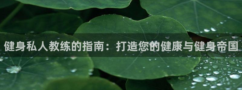 QY球友会2